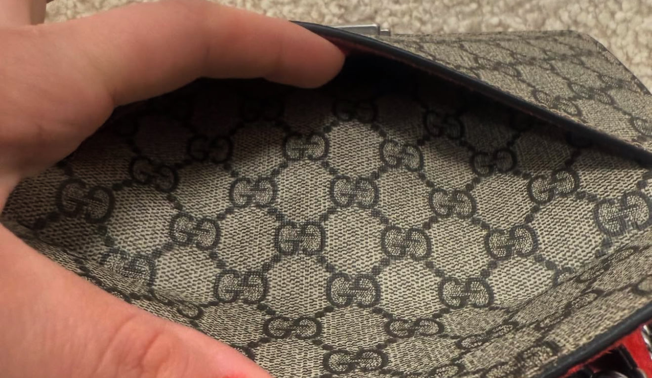 Gucci Dionysus mini