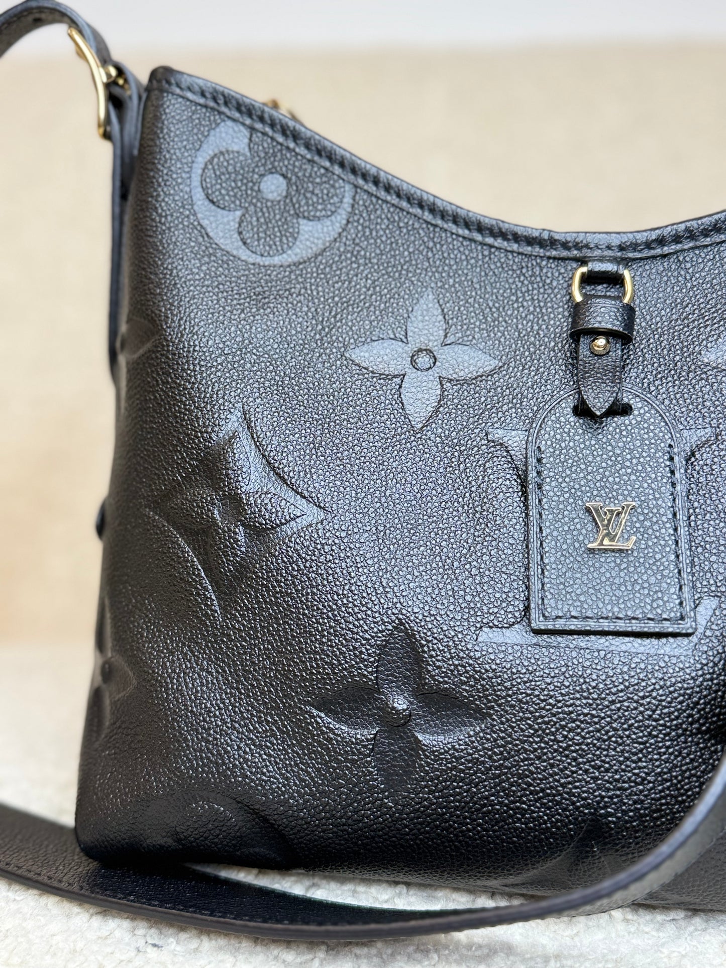 Louis Vuitton CarryAll PM