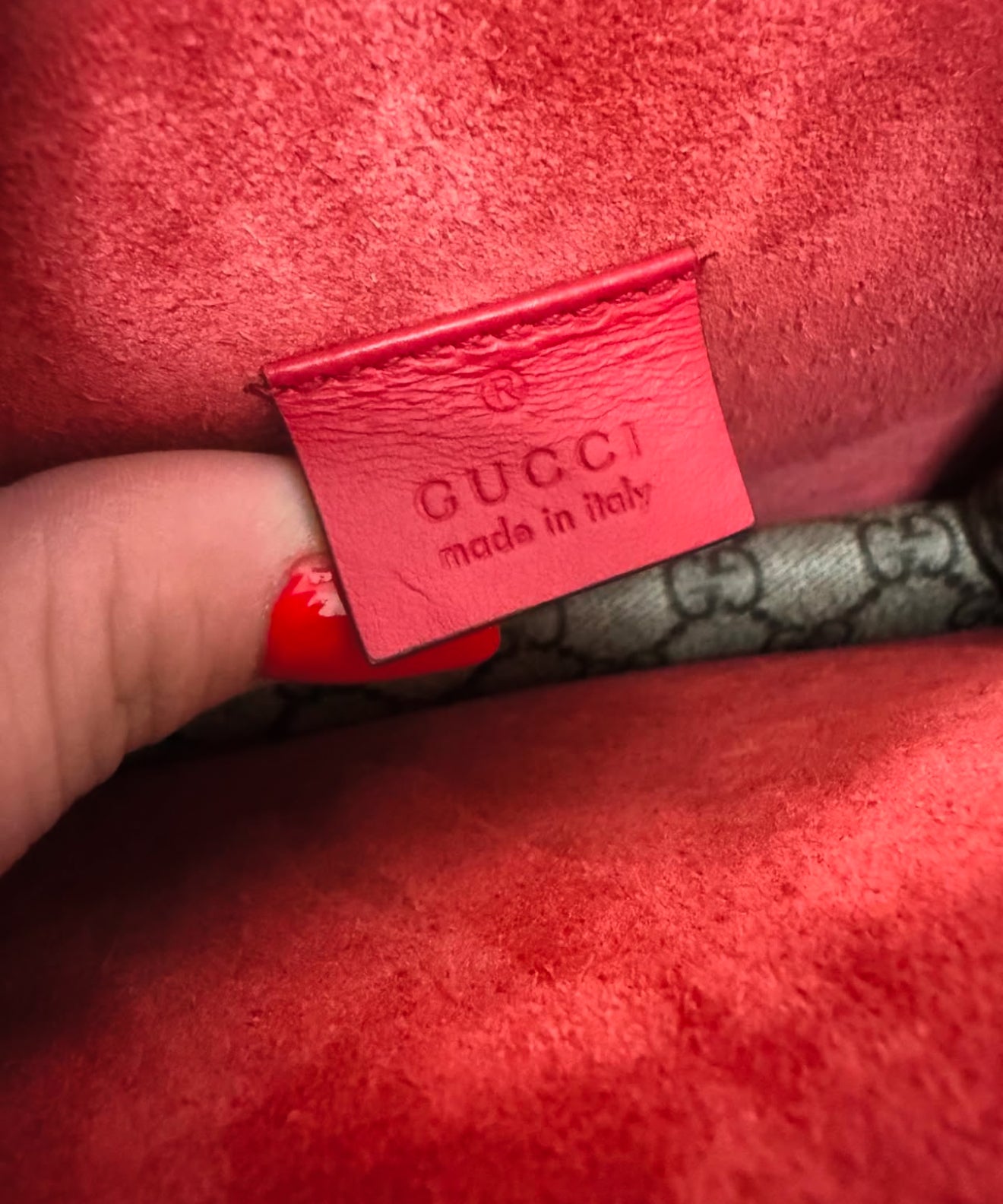 Gucci Dionysus mini