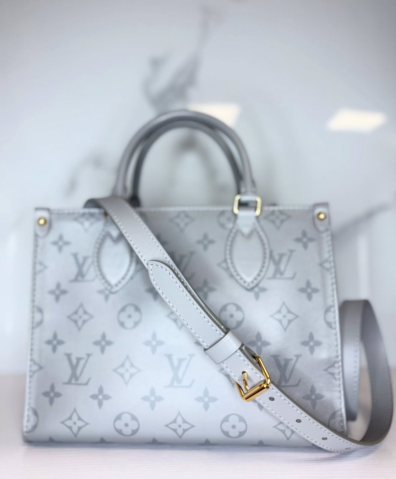Louis Vuitton On The Go PM